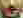 Detail of JPEG - level 75
